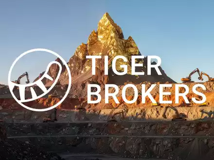 Tiger Gold Aktie: 14,96 Prozent Sprung auf Quinchía-Fokus - Foto: über boerse-global.de