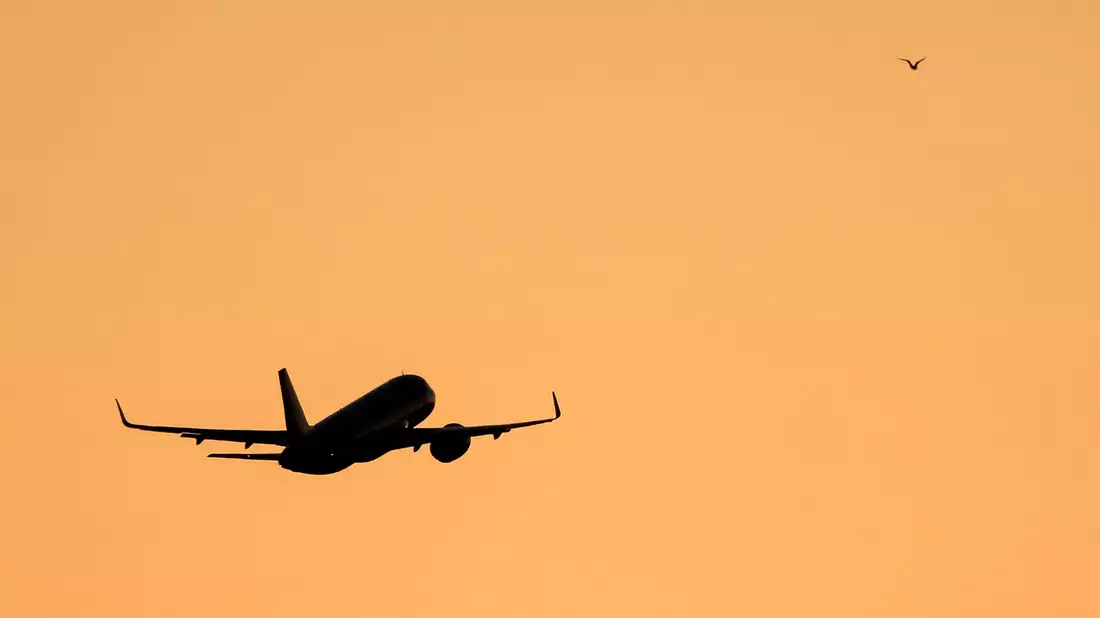 Das Paar soll sich auf dem Flug zwischen Panama und Argentinien kennengelernt haben. (Symbolbild)  - Bild: Jan Woitas/dpa