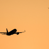Das Paar soll sich auf dem Flug zwischen Panama und Argentinien kennengelernt haben. (Symbolbild)  - Foto: Jan Woitas/dpa