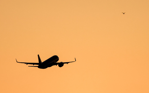Das Paar soll sich auf dem Flug zwischen Panama und Argentinien kennengelernt haben. (Symbolbild)  - Foto: Jan Woitas/dpa