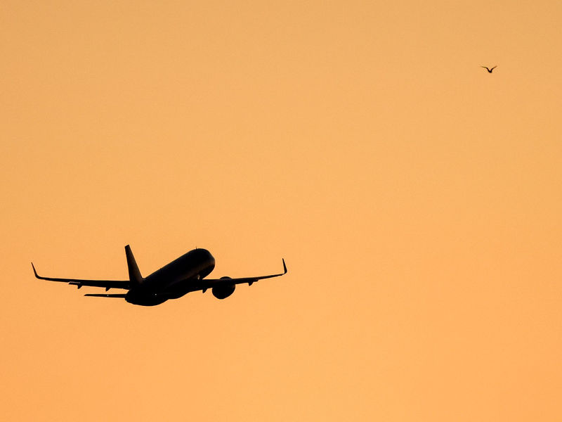 Das Paar soll sich auf dem Flug zwischen Panama und Argentinien kennengelernt haben. (Symbolbild)  - Foto: Jan Woitas/dpa