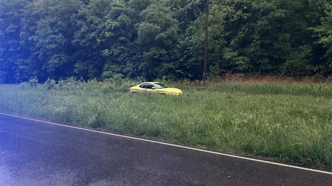 POL-PDLD: Bad Bergzabern/B427 - Mit gelbem Auto ab ins Grüne - Bild: presseportal.de