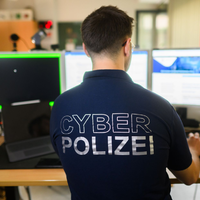Die Mehrheit der Straftaten im Internet wird inzwischen aus dem Ausland heraus begangen. (Symbolbild) - Foto: Julian Stratenschulte/dpa