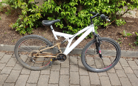 POL-PIKIR: Wem gehört das Fahrrad? - Gestohlenes Fahrrad aufgefunden - Foto: presseportal.de