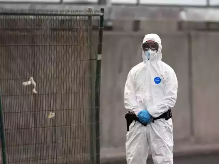 Beim Kontakt mit dem Hantavirus sollte ein Schutzanzug Pflicht sein. - Foto: AP/dpa