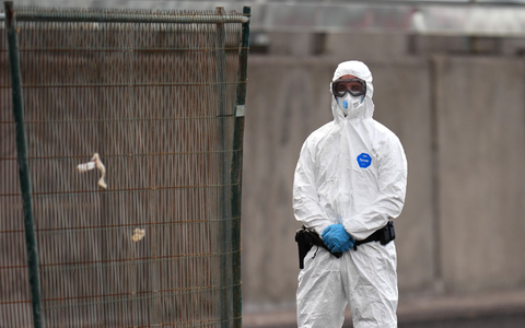 Beim Kontakt mit dem Hantavirus sollte ein Schutzanzug Pflicht sein. - Foto: AP/dpa