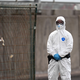 Beim Kontakt mit dem Hantavirus sollte ein Schutzanzug Pflicht sein. - Foto: AP/dpa