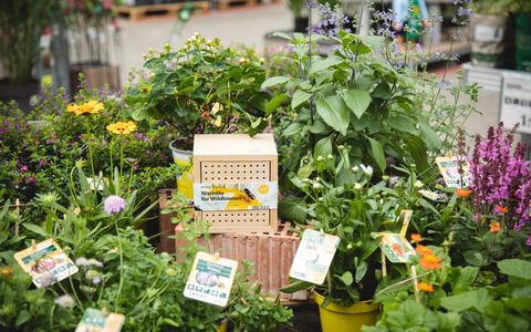 Gemeinsam für summende Gärten: toom engagiert sich für Insektenschutz / Spendenaktion zugunsten der Heinz Sielmann-Stiftung rund um den Weltbienentag unterstützt Biodiversität und Naturschutzprojekte - Foto: presseportal.de