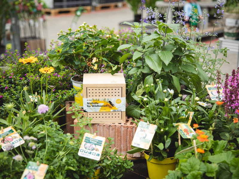 Gemeinsam für summende Gärten: toom engagiert sich für Insektenschutz / Spendenaktion zugunsten der Heinz Sielmann-Stiftung rund um den Weltbienentag unterstützt Biodiversität und Naturschutzprojekte - Foto: presseportal.de