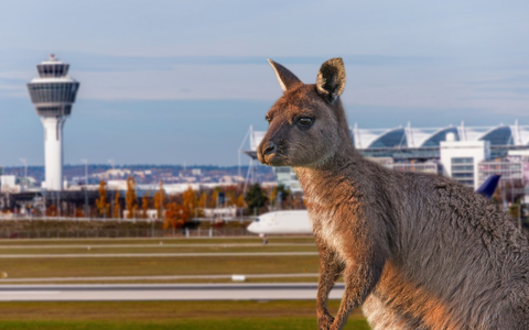 Animal Takeoff: BR-Dokuserie erzählt Tiergeschichten rund um den Münchner Flughafen - Foto: presseportal.de