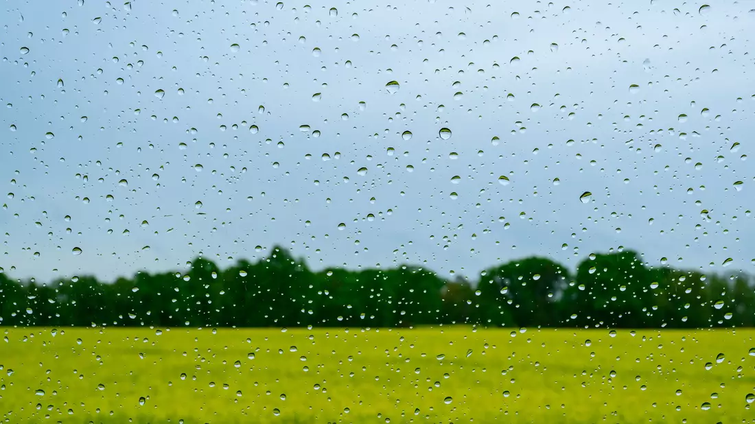 Regen wird es auch in den kommenden Tagen geben.  - Bild: Patrick Pleul/dpa
