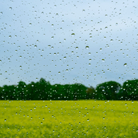 Regen wird es auch in den kommenden Tagen geben.  - Foto: Patrick Pleul/dpa