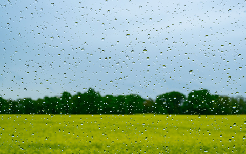 Regen wird es auch in den kommenden Tagen geben.  - Foto: Patrick Pleul/dpa