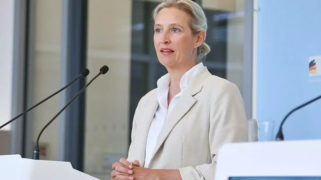 Alice Weidel (Archiv) - Bild: via dts Nachrichtenagentur