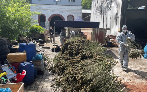 POL-SI: Polizei baut illegale Cannabisplantage aus Brandobjekt ab -#polsiwi - Foto: presseportal.de