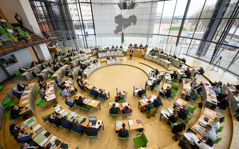 Der Grünen-Antrag zur Unterstützung kleiner Schlachtbetriebe bekam nur mit Hilfe von AfD und BSW eine Mehrheit. - Foto: Robert Michael/dpa