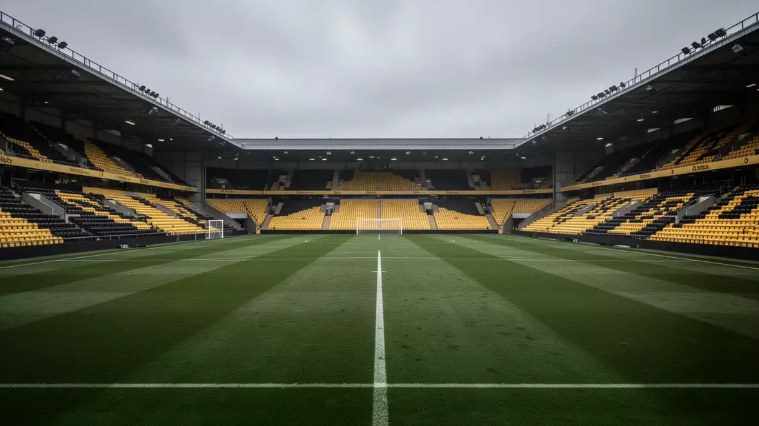 BVB Aktie: 18,7 Prozent Minus auf Jahressicht - Bild: über boerse-global.de