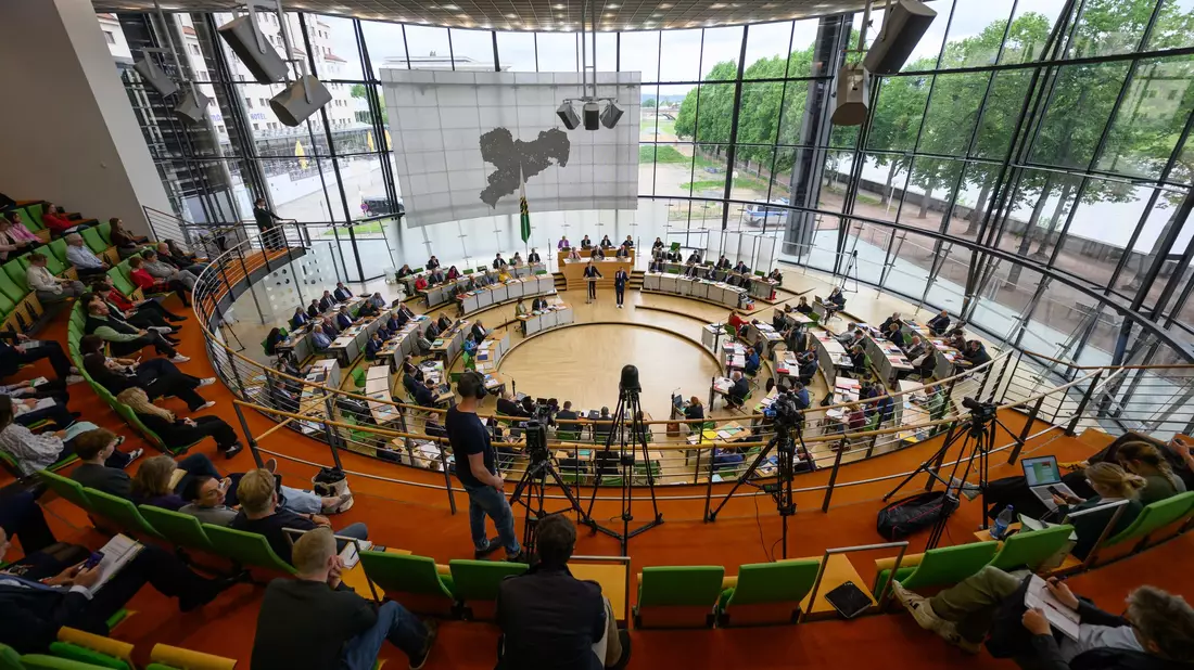 Der Grünen-Antrag zur Unterstützung kleiner Schlachtbetriebe bekam am Mittwochabend nur mit Hilfe von AfD und BSW eine Mehrheit. (Archivbild) - Bild: Robert Michael/dpa