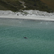 Unklar ist, ob es sich um den Wal handelt, der Ende März erstmals vor Timmendorfer Strand gestrandet war und rund einen Monat später in den Skagerrak, Nordsee, transportiert worden wurde. - Foto: Jonas Walzberg/dpa