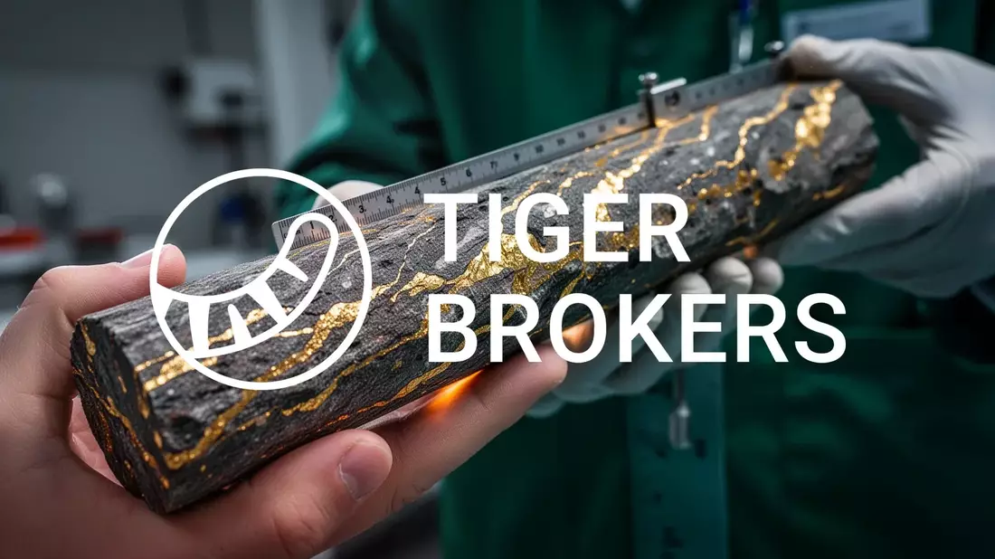 Tiger Gold Aktie: 3,0 g/t über zehn Meter in Ceibal - Bild: über boerse-global.de