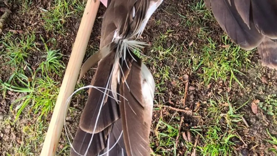 FFW Schiffdorf: Feuerwehr rettet Vogel aus misslicher Lage - Bild: presseportal.de
