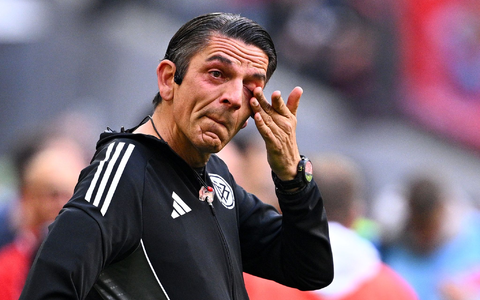 Schiedsrichter Deniz Aytekin zeigt bei seinem letzten Bundesliga-Einsatz Emotionen. - Foto: Tom Weller/dpa