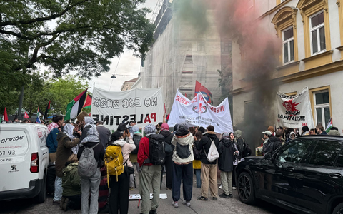 Die Pyrotechnik wurde nach einer Polizei-Durchsage rasch gestoppt. - Foto: Britta Schultejans/dpa