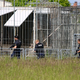 Der Tiger war aus einer privaten Haltung entkommen. - Foto: Björn Stach/EHL Media/dpa