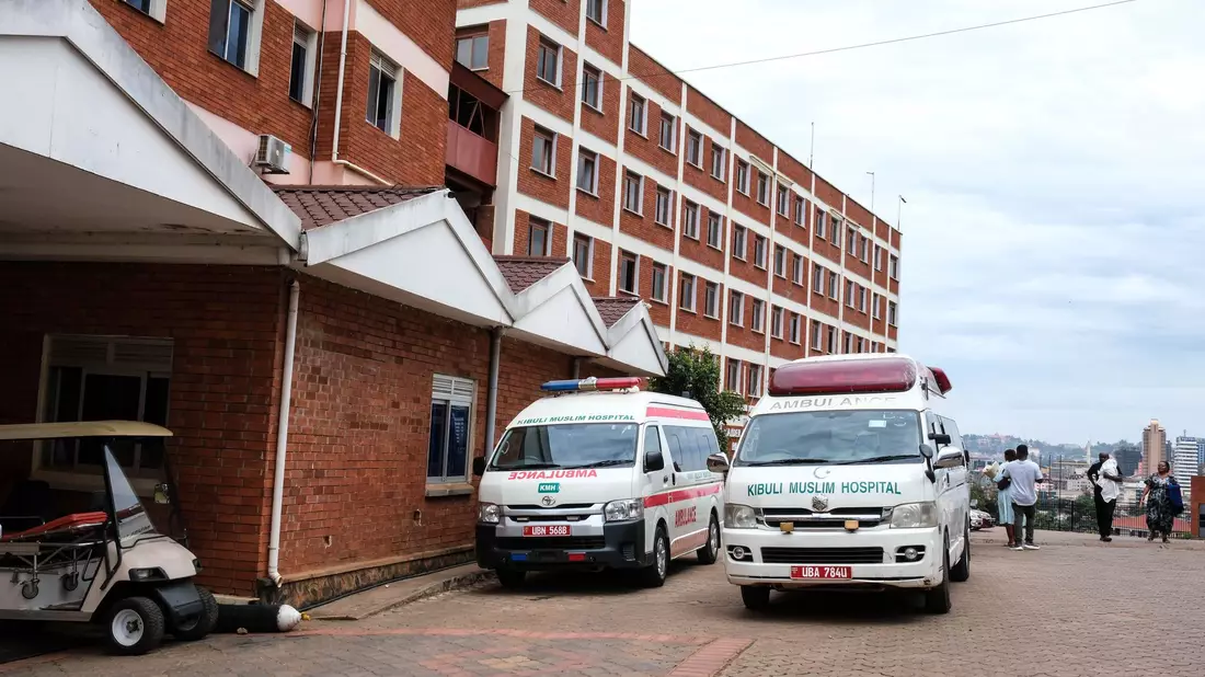 Die Weltgesundheitsorganisation (WHO) hat wegen eines tödlichen Ebola-Ausbruchs in Demokratischen Republik Kongo einen internationalen Gesundheitsalarm ausgerufen. - Bild: Hajarah Nalwadda/AP/dpa