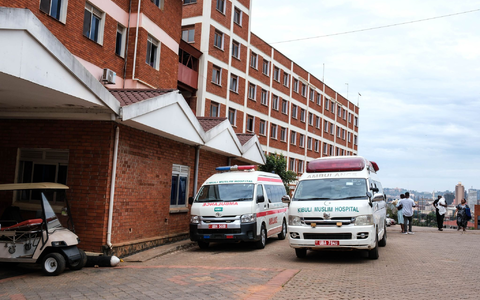 Die Weltgesundheitsorganisation (WHO) hat wegen eines tödlichen Ebola-Ausbruchs in Demokratischen Republik Kongo einen internationalen Gesundheitsalarm ausgerufen. - Foto: Hajarah Nalwadda/AP/dpa