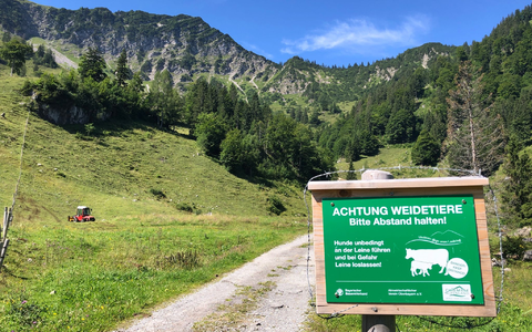 Beim Betreten von Weidegebiet ist Vorsicht geboten. (Symbolbild) - Foto: Roland Freund/dpa