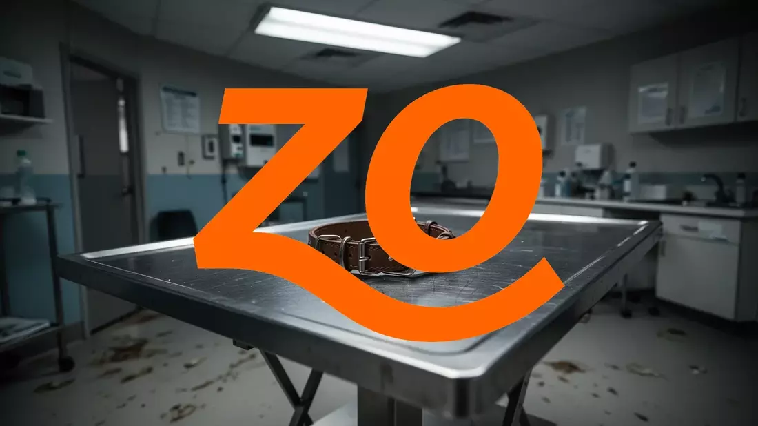 Zoetis Aktie: US-Heimtiergeschäft fällt 11 Prozent - Bild: über boerse-global.de