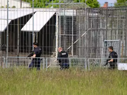 Der Tiger war aus einer privaten Haltung entkommen. - Foto: Björn Stach/EHL Media/dpa