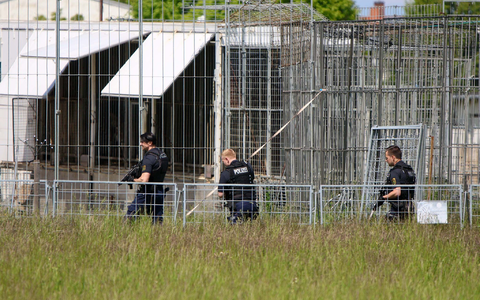 Der Tiger war aus einer privaten Haltung entkommen. - Foto: Björn Stach/EHL Media/dpa
