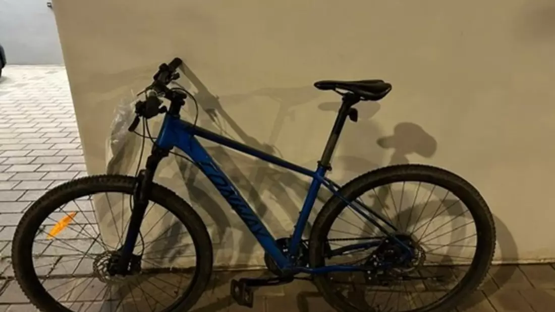 POL-PDLD: Landau - Wem gehört das Fahrrad? - Bild: presseportal.de