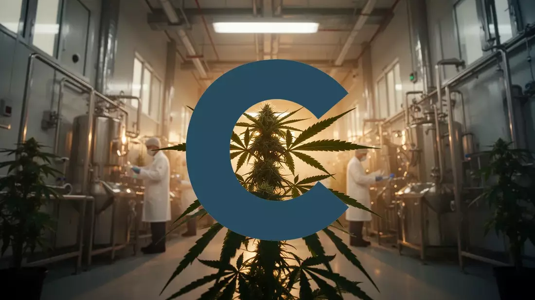 Cresco Labs Aktie: Schedule-III-Einstufung könnte Steuerlast senken - Bild: über boerse-global.de