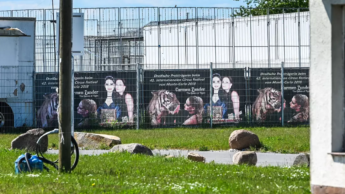 Die Gehege genügt laut Behörden nicht den Mindestanforderungen.  - Bild: Heiko Rebsch/dpa