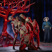 Clasart Classic bringt am 30. Mai Gabriela Lena Franks erste Oper EL ÚLTIMO SUEÑO DE FRIDA Y DIEGO live aus der Met ins Kino - Foto: presseportal.de