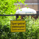 Die Sonderstation der Charité ist besonders geschützt. - Foto: Soeren Stache/dpa