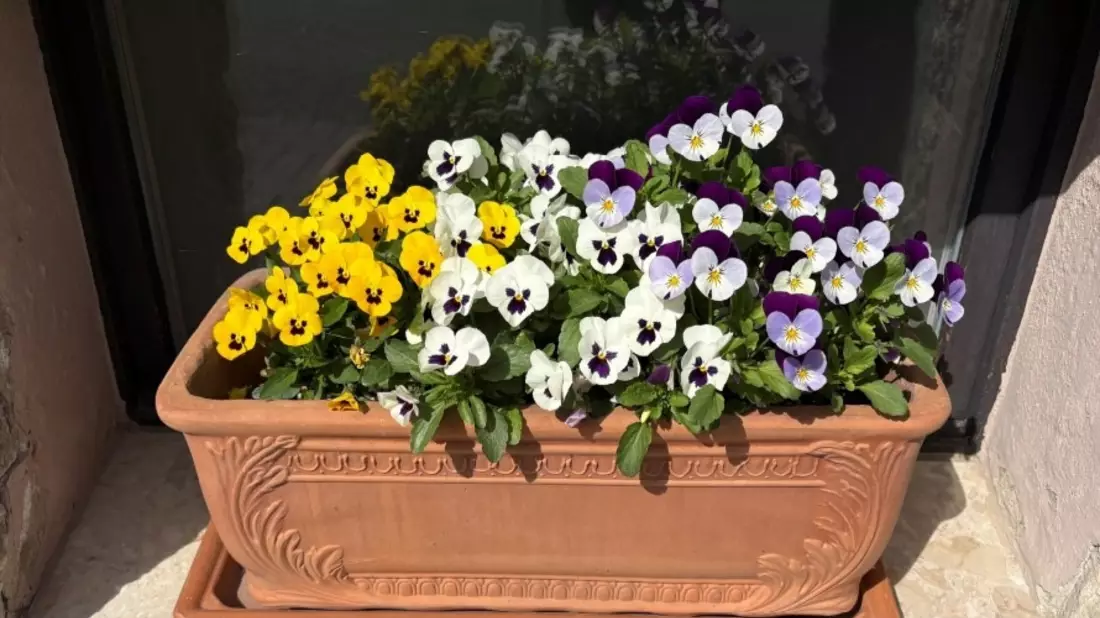 LPI-NDH: Zeugenaufruf: Blumenkasten entwendet - Wer kann Hinweise geben? - Bild: presseportal.de