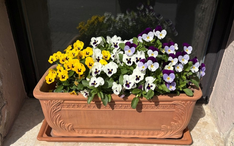 LPI-NDH: Zeugenaufruf: Blumenkasten entwendet - Wer kann Hinweise geben? - Foto: presseportal.de