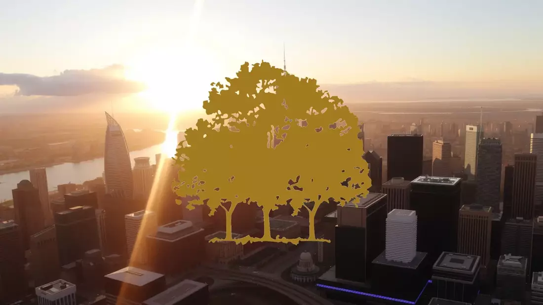 Canopy Growth Restates Two Years of Results as Warrant Classification Error Triggers Insider Trading Freeze Illustration mit AI erstellt übermittelt durch boerse-global.de