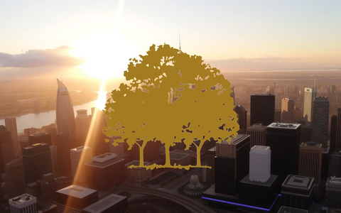 Canopy Growth Restates Two Years of Results as Warrant Classification Error Triggers Insider Trading Freeze - Foto: über boerse-global.de