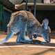 Nach ein paar Hopsern versteckt sich Elli wieder im Pullover. - Foto: Armin Weigel/dpa