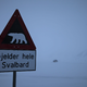 Zum ersten Mal ist in Europa bei einem Eisbären die Vogelgrippe entdeckt worden - und zwar auf der norwegischen Inselgruppe Spitzbergen. (Symbolbild) - Foto: Steffen Trumpf/dpa
