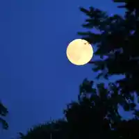 Nachthimmel mit Mond (Archiv) - Foto: via dts Nachrichtenagentur
