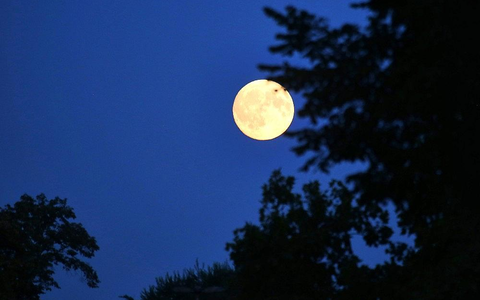 Mond (Archiv) - Foto: via dts Nachrichtenagentur
