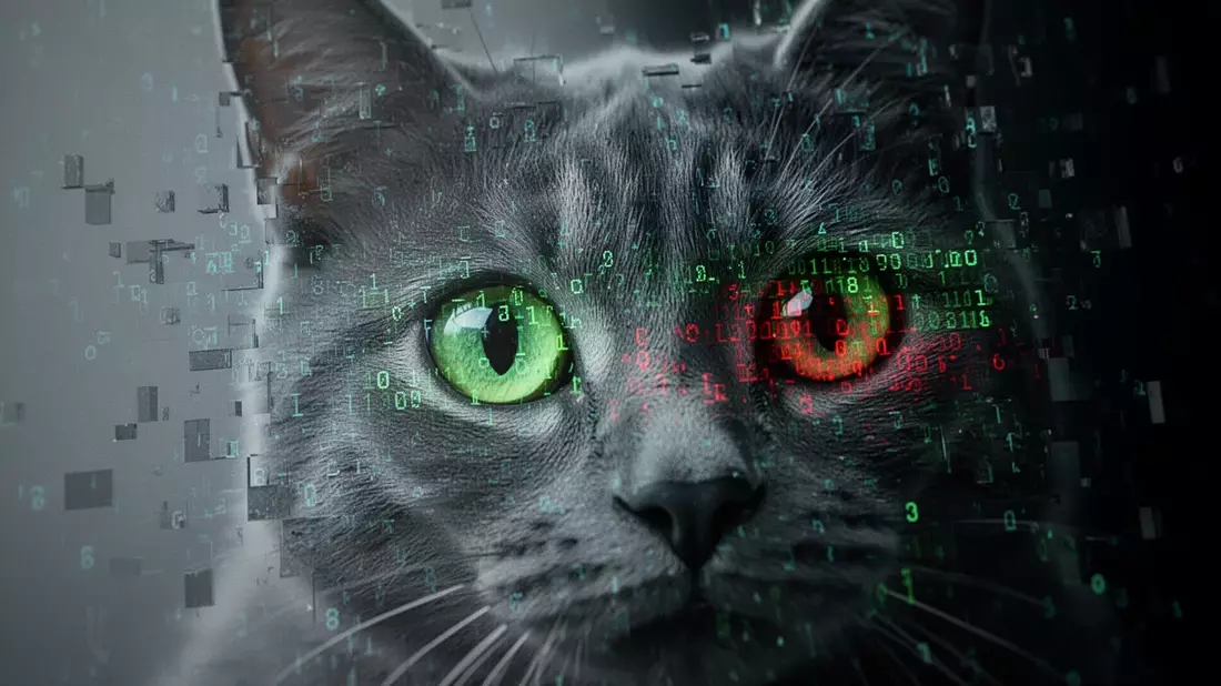 Cyberkriminelle tarnen Schadsoftware in Katzenfotos - Bild: über boerse-global.de