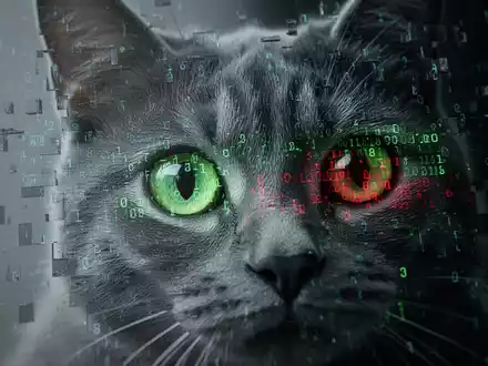 Cyberkriminelle tarnen Schadsoftware in Katzenfotos - Foto: über boerse-global.de