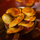 Eine Currywurst gefällig? - Foto: Rolf Vennenbernd/dpa